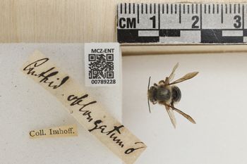 Media type: image;   Entomology 789228 Aspect: Labels
